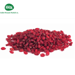 Barberry 1 150x150 - Persian Barberries in Winter Festival Decor