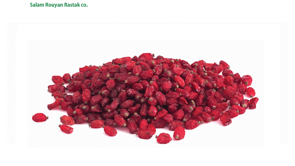 Barberry 1 960x540 - Persian Barberries in Winter Festival Decor