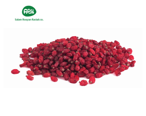 Barberry 300x240 - Persian Barberries in Winter Festival Decor
