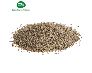 Clary Sage seeds 1 300x240 - Organic Clary Sage Seeds: Iran's Aromatic Treasure for Global Export