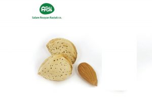 Moheb Ali 300x200 - Persian Almonds in Autumn Harvest Markets