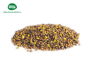 Mount Atlas Pistache 300x240 - Persian Pistachios in Eid al-Fitr Celebrations