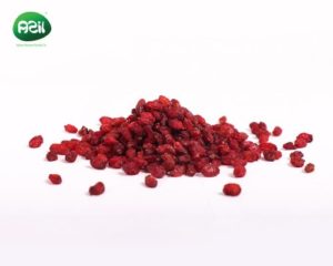 barberry 500x400 300x240 - Persian Barberries in Spring Family Picnics