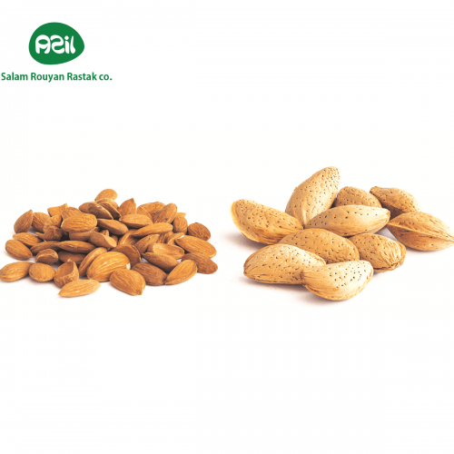 Azil Organic Marma Almond