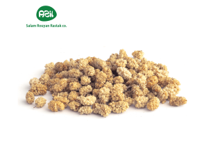mullbery 300x240 - "Iranian White Mulberry: Organic Dried Superfruit"