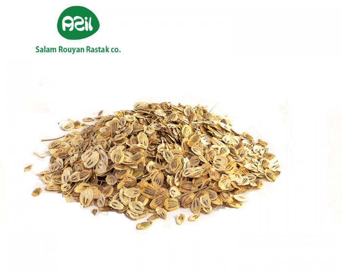 persian hogweed 2 700x560 - Azil Organic Persian Hogweed