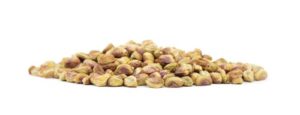 pistachios kernel 500x191 300x115 - Persian Pistachios in Summer Outdoor Yoga