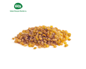 sultana raisin 300x240 - Organic Sultana Raisins: Iran's Golden Sun-Dried Export