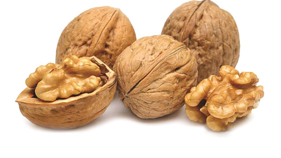 2 960x540 - Persian Walnuts in Autumn Harvest Mornings