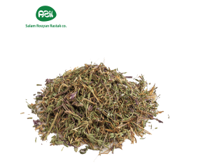 ziziphora 1 300x240 - Organic Ziziphora: Iran’s Healing Herb