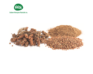 sumac 1 300x240 - Organic Sumac: Iran’s Zesty Herb Spice
