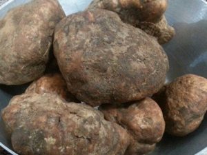 truf 300x225 - Explore Iranian Truffle: A Gourmet Delight