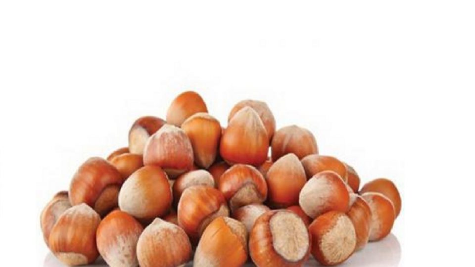 Azil Hazelnut