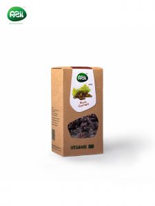 Black current 225x300 - Organic Black Currants: Iran's Antioxidant-Rich Superfruit Export