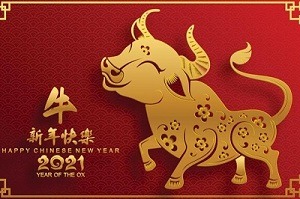 b25lY21zOmNmZWU1ZGJjLTUwNDItNGFkMS1iNTE0LTM5ZDU1ODk2M2U4YzozYjZlNDcyOS03NWVkLTQ5NDItYTZmMi01ZGUzMTU2YzI3NTQ 2 - Happy Chinese New Year 2021 / 保持健康！