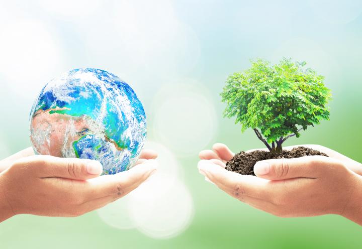 earth tree - Earth Day 2021