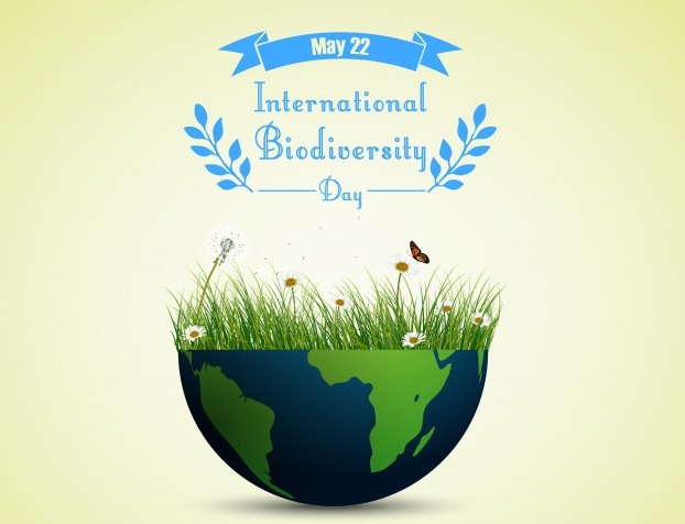 green grass flowers inside earth 43605 1411 - International Day for Biological Diversity