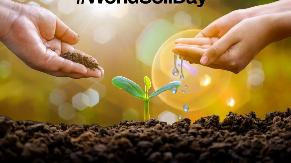 World Soil Day 2021 960x540 - World Soil Day 2021