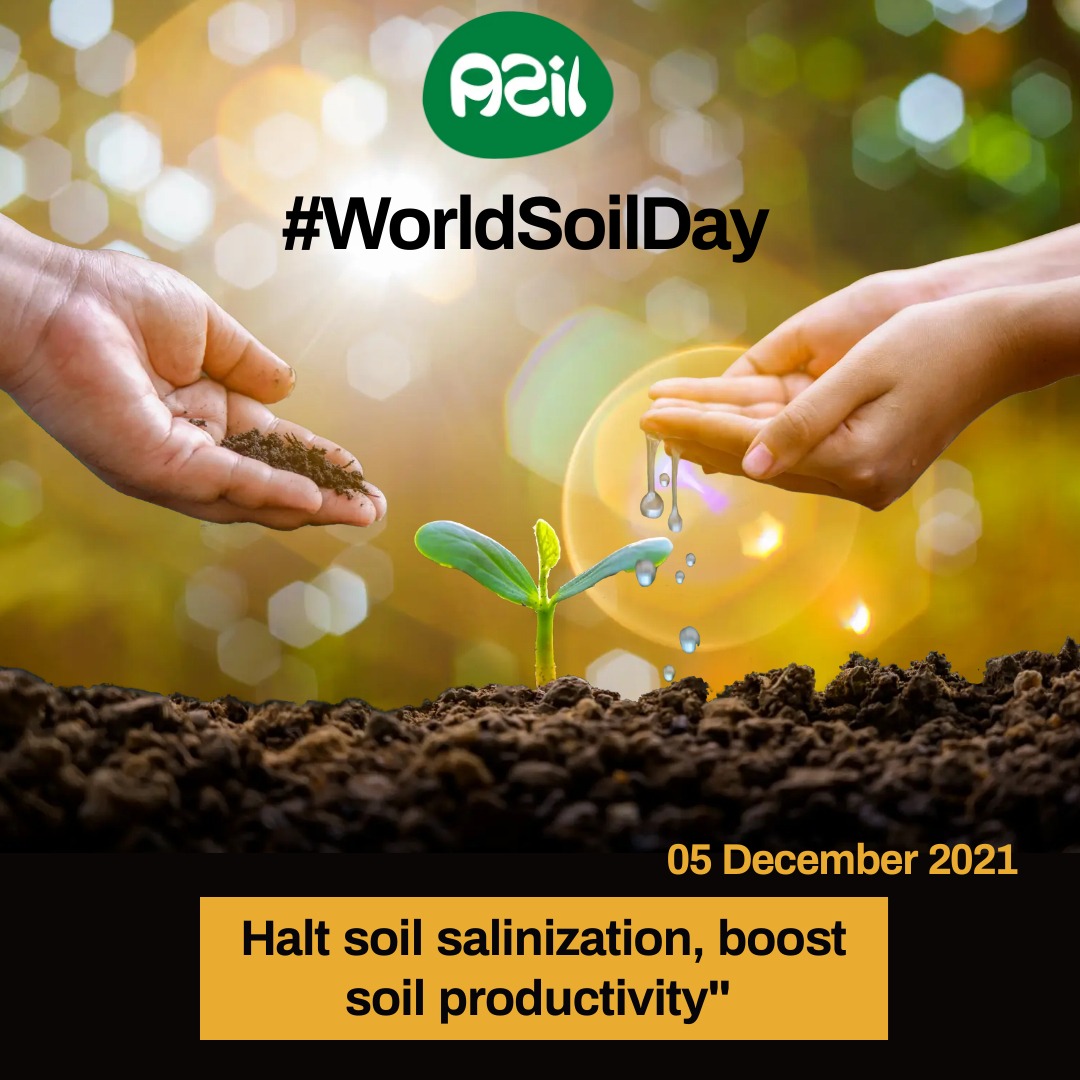 World Soil Day 2021 - World Soil Day 2021