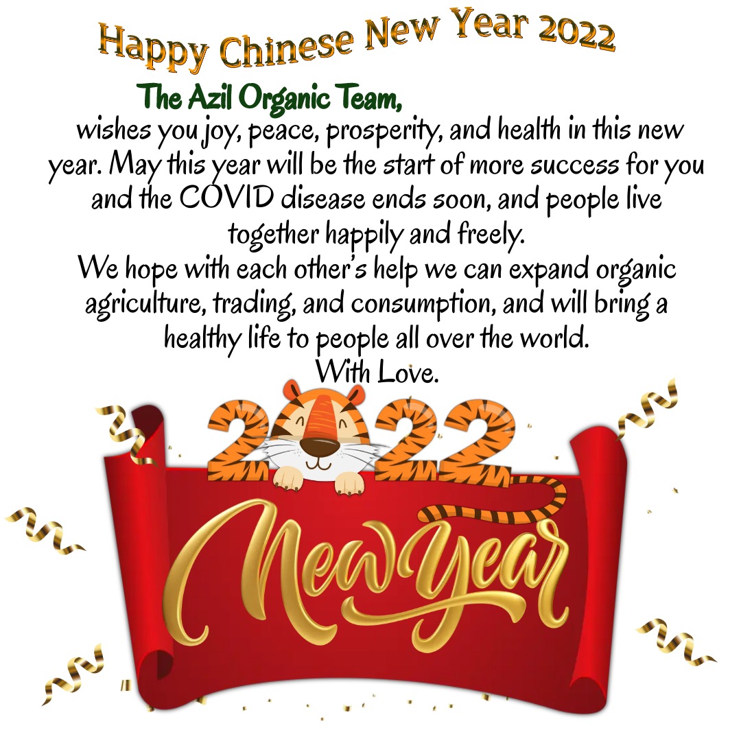 Happy chinese new year 2022 - Happy Chinese New Year 2022