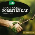 FOREST DAY 2022 150x150 - HAPPY RAMADAN