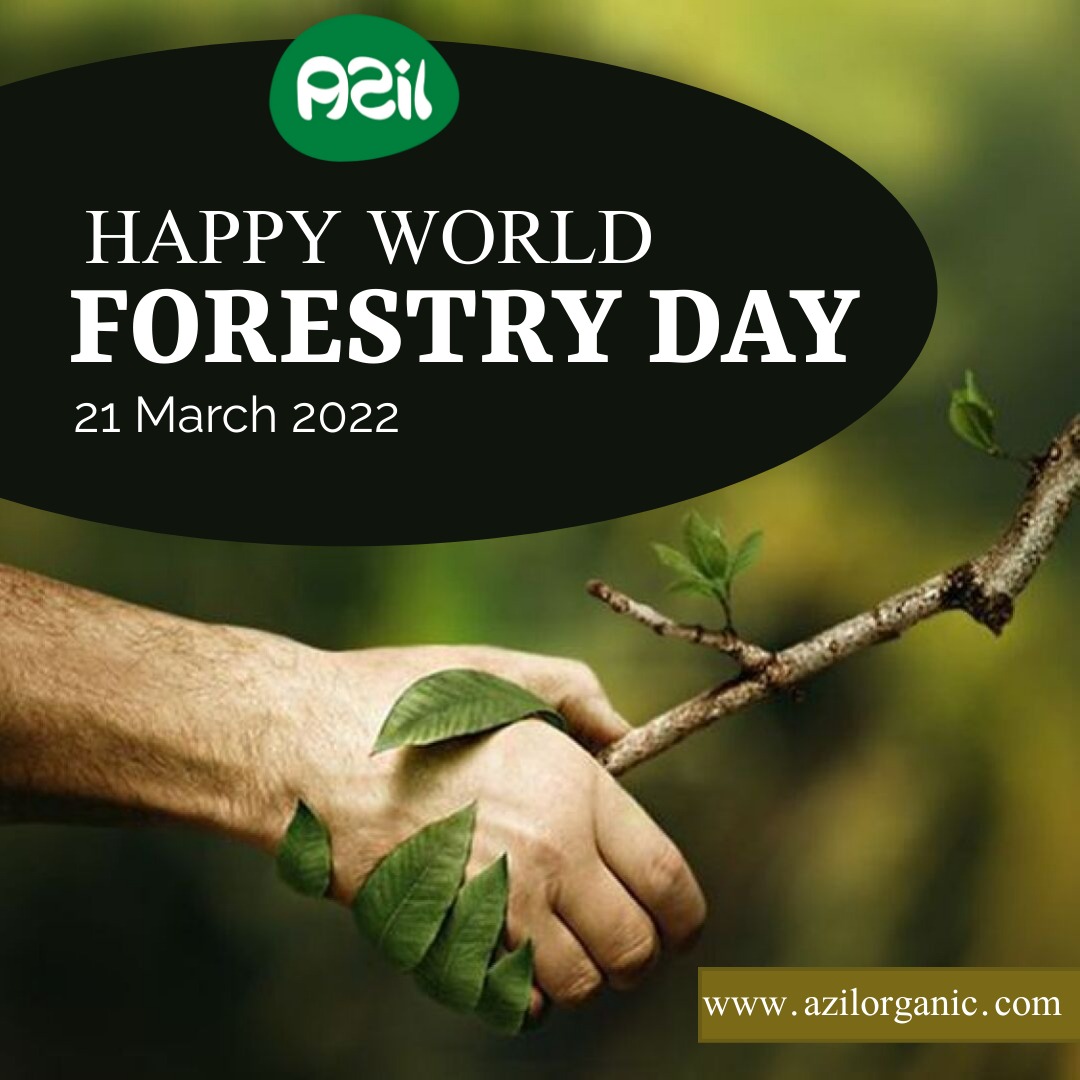 FOREST DAY 2022 - International Day of Forest 2022