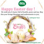Happy easter day 2022 150x150 - HAPPY EASTER DAT