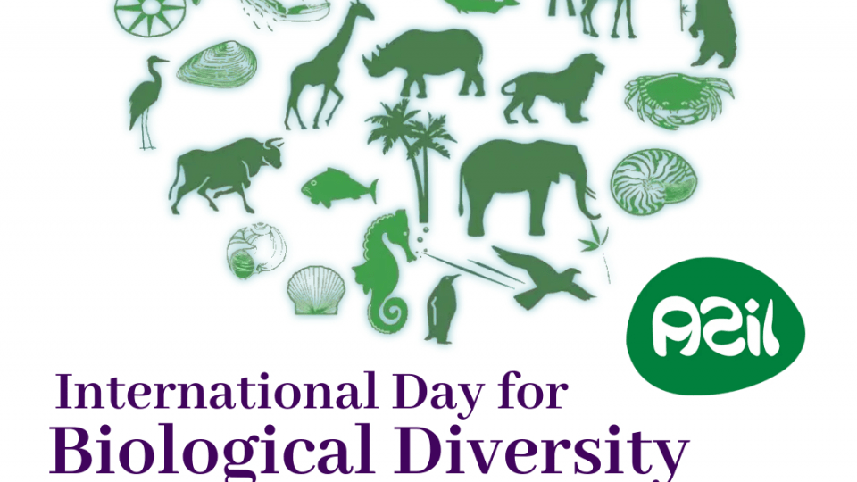 bioloyical deiversity 2022 960x540 - The International Biological Diversity 2022