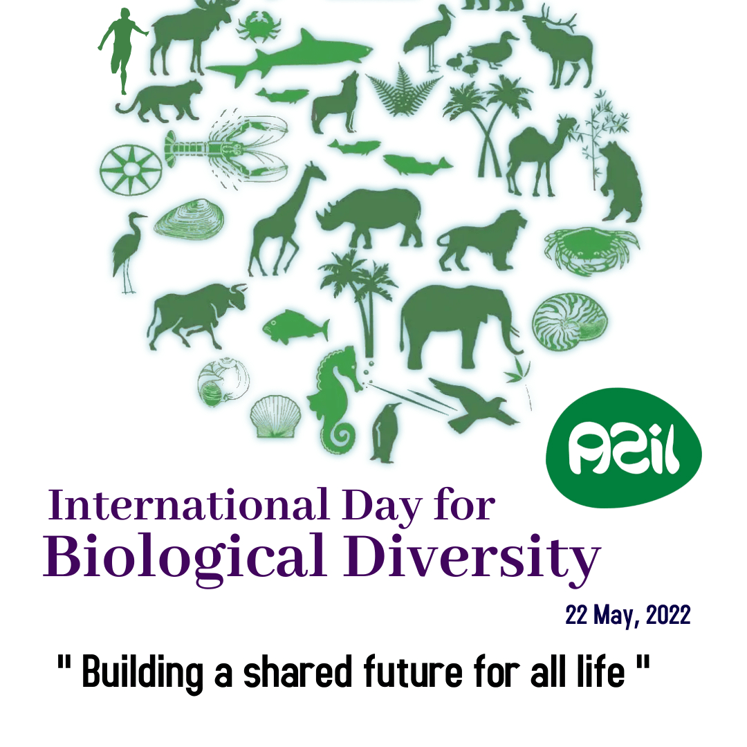 bioloyical deiversity 2022 - The International Biological Diversity 2022