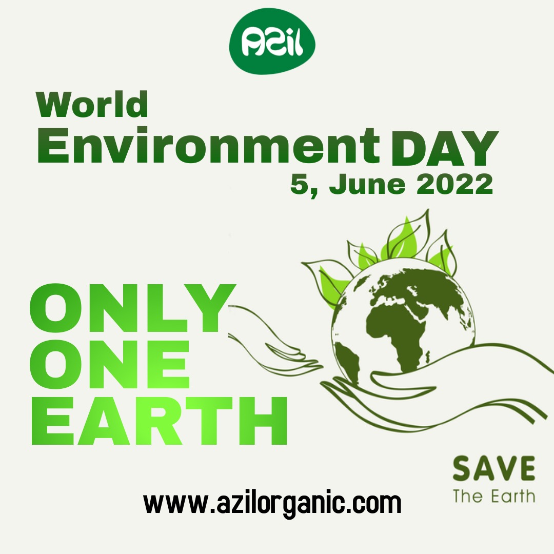 World environment day 2022 - World Environment 2022