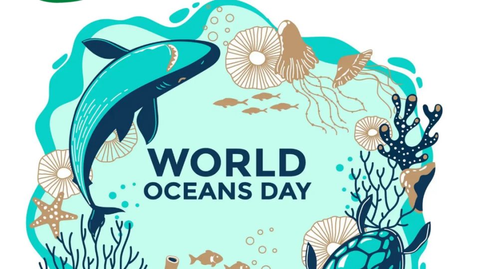 world Ocean Day 2022 960x540 - World Oceans Day 2022