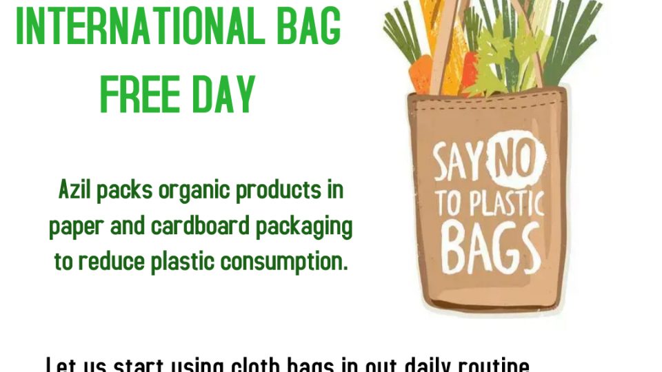 روز بدون کیسه پلاستیک 960x540 - It is enough to say no to the plastic bags   