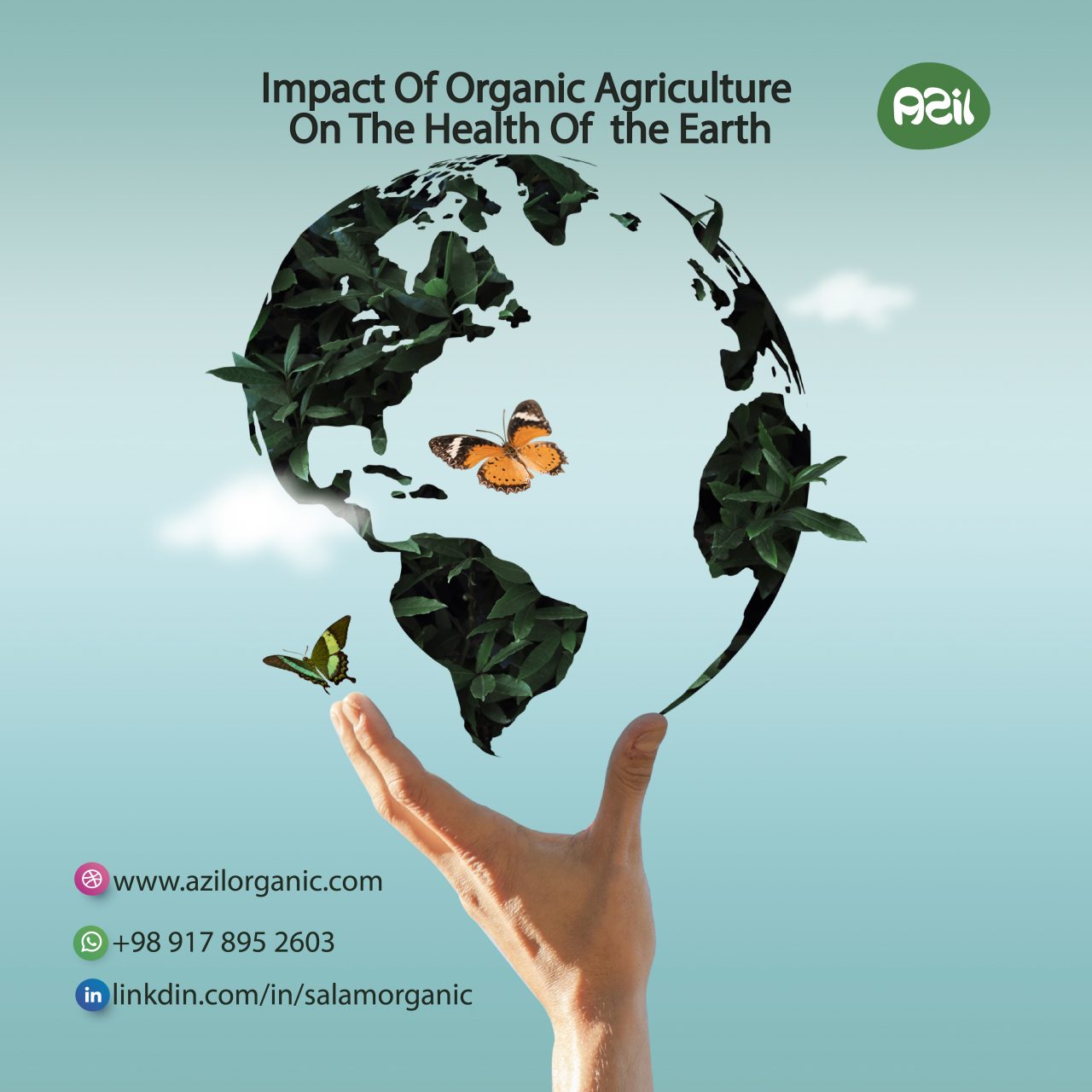 poster site final۱ 1280x1280 - The impact of organic agriculture on the health of the earth