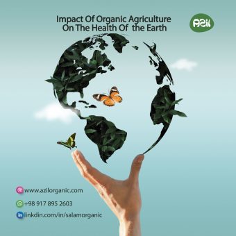 poster site final۱ 340x340 - The impact of organic agriculture on the health of the earth