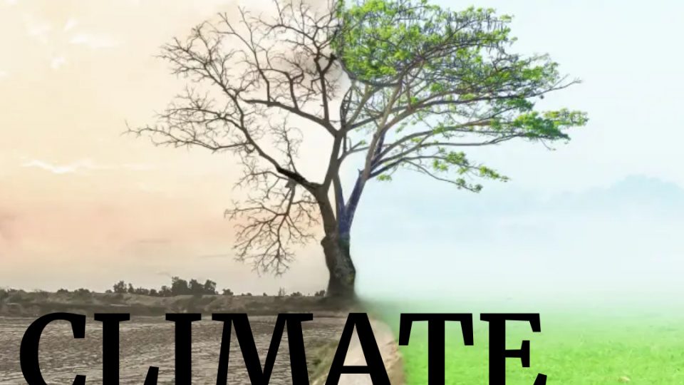 960x540 - Effects of climate change of  food & economic  security