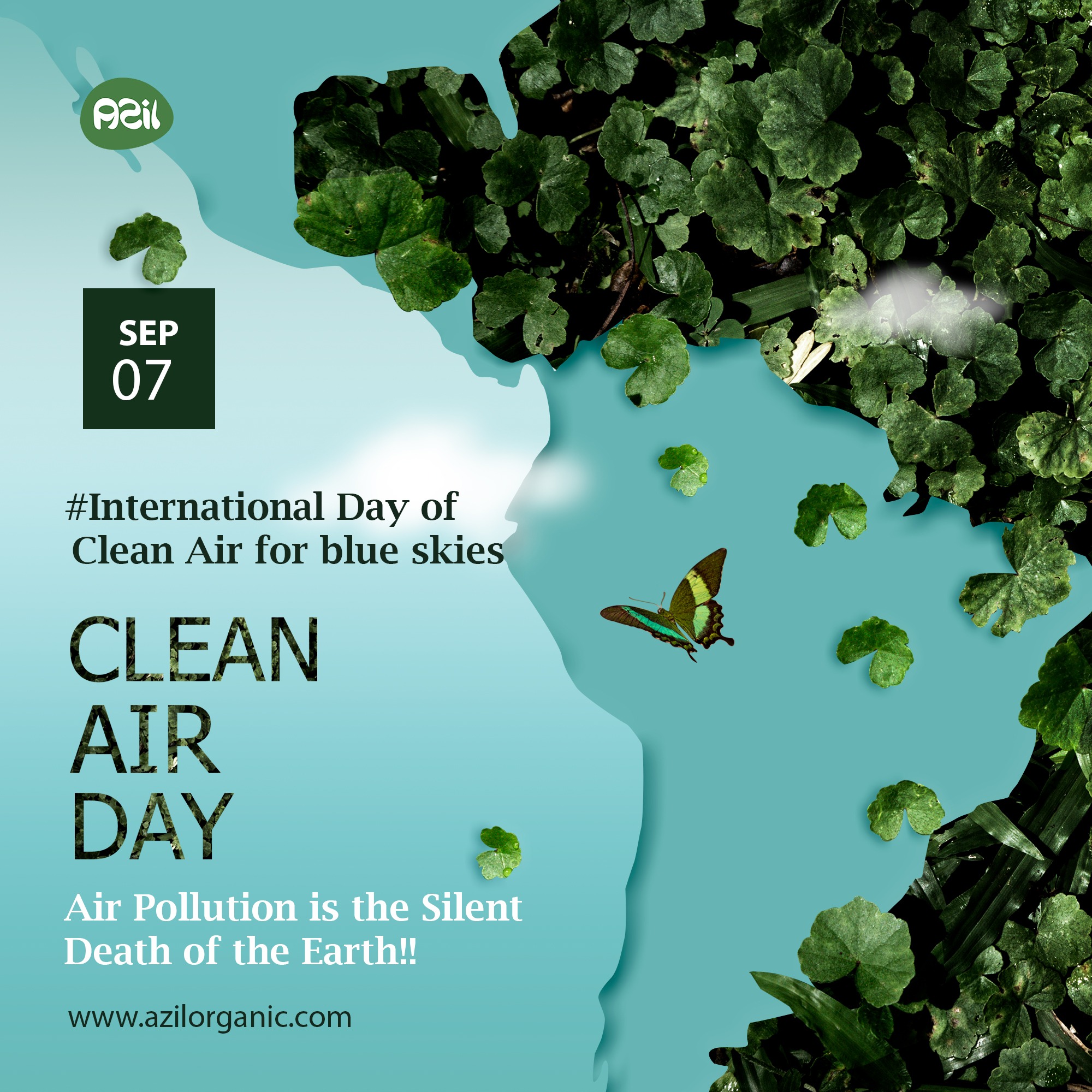first clean day1 - The Air We Share 2022