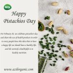 Pistachios day9 0۱ 150x150 - Footer