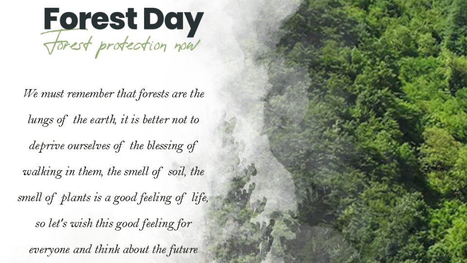 forest day2 960x540 - Forests and health 2023