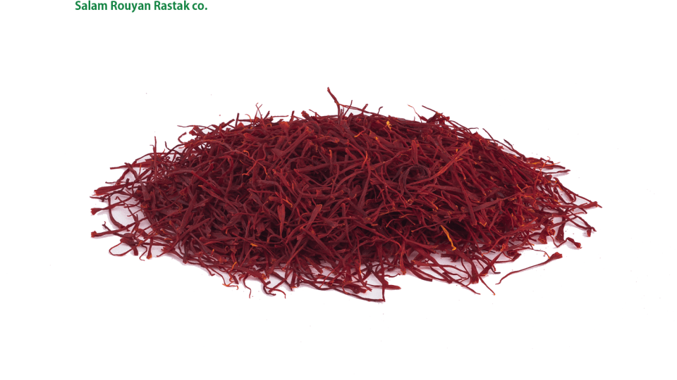 Iranian export saffron fields in bloom