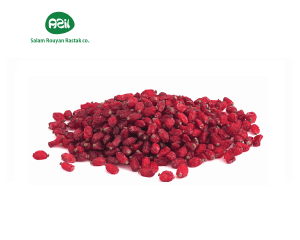 Barberry 1 1 300x240 - Persian Barberries in Winter Family Gatherings
