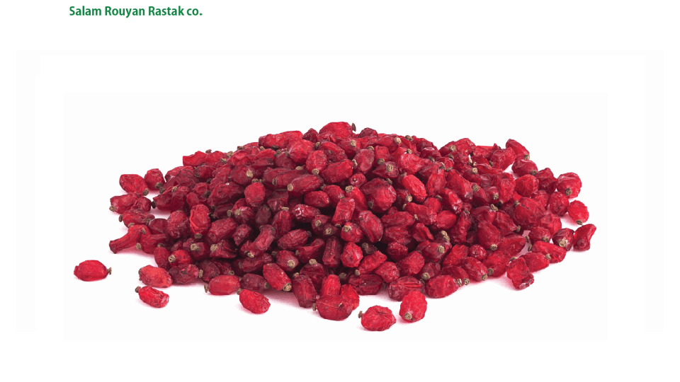 Iranian Barberries: A Tart Treasure of Culture