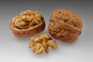 Walnuts   whole and open with halved kernel 300x200 - Persian Walnuts in Spring Morning Yoga