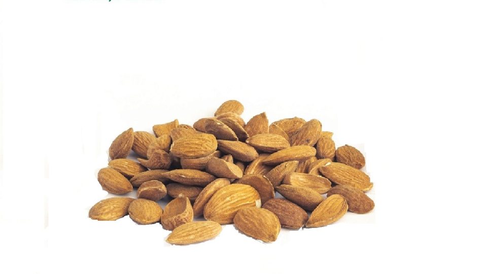 Almond Exports from Iran: Nutty Gems Go Global